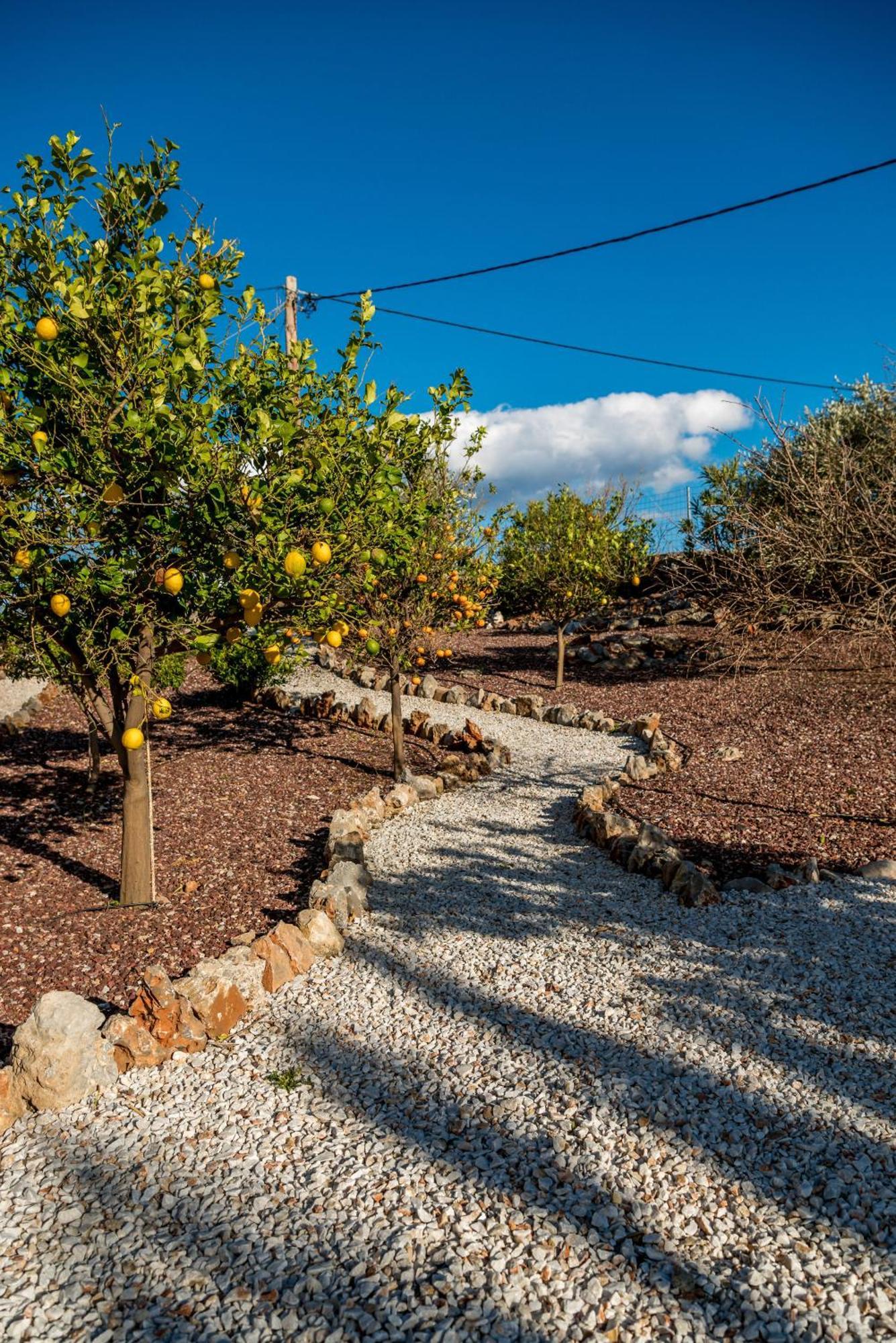 Villa Gloria Seaview - Luxury & Family Kokkino Chorio المظهر الخارجي الصورة